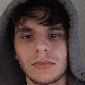 Zimm image 4