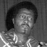 Albert Collins (1932 - 1993) (吉他手)