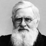 Alfred Russel Wallace (1823 - 1913) (Biologist)