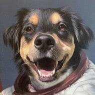 BoopleTheSnoot, 7 (Dog)