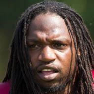 Brandon Meriweather, 41 (足球运动员)
