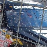 Cole Custer, 27 (赛车手)