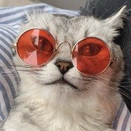 Deksy the Cat, 11 (猫)