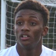 Demarai Gray, 29 (足球运动员)