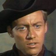 Don Dubbins (1928 - 1991) (电影演员)