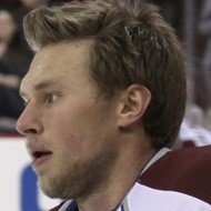 Erik Johnson, 37 (Hockey Player)