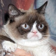 Grumpy Cat (2012 - 2019) (Kat)