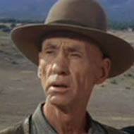 Hank Worden (1901 - 1992) (电影演员)