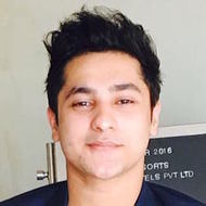 Harsh Beniwal, 28 (Star d'Instagram)