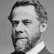 Henry Gassaway Davis (1823 - 1916) (Politician)