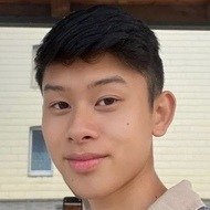 Henry Nguyen, 21 (TikTok明星)