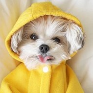 Herman in the Hood, 10 (Dog)