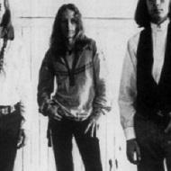 James Gurley (1939 - 2009) (Guitarist)