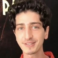 Johnny Massaro, 33 (电视演员)