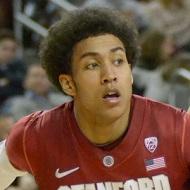 Josh Huestis, 33 (Jogador De Basquete)