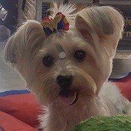 Kylie Almada, 6 (Cane)