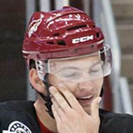 Martin Hanzal, 38 (曲棍球運動員)