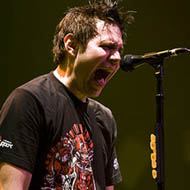 Matty Lewis, 50 (Guitarist)