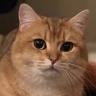 Mr Potato, 6 (Kat)