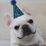 Nachodogg, 11 (Con chó)