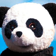 Panda Aventurero, 25 (YouTube明星)
