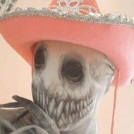 preppyclaws, 19 (TikTok明星)