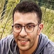 Rio The Staffie, 25 (TikTok Star)