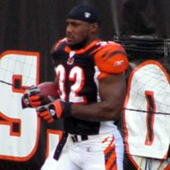 Rudi Johnson (1979 - ?) (Football Player)