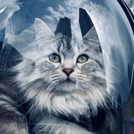 Shuba The Siberian, 3 (Cat)