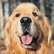 Sterling Newton, 7 (Cane)