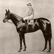 Steve Donoghue (1884 - 1945) (Horse Jockey)