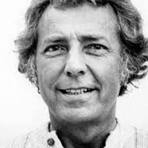 Stirling Silliphant (1918 - 1996) (编剧)