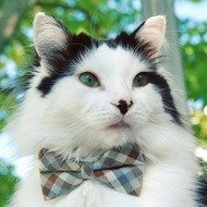 The Oreo Cat, 10 (Gato)
