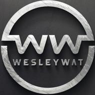 Wesley Watkins, 28 (YouTube明星)