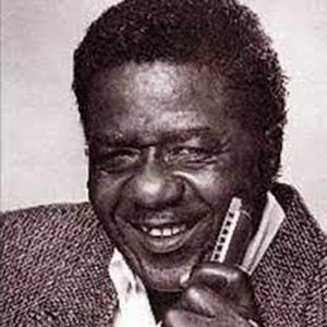 Willie C. Cobbs (1932 - 2021) (蓝调歌手)